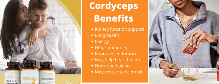 Pincredit Supply Pure Bulk Price Cordyceps Militaris Extract Powder 1%- 98% Cordycepin