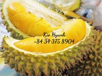 Premium Kwaliteit Bevroren Durian Fruit Monthong Uit Vietnam Ms Kio Hyunh