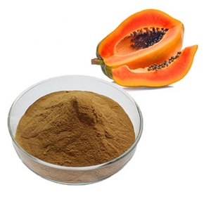 Poudre d'extrait de feuille de papaye 100% pure et biologique, extrait végétal de papita patta d'Inde, qualité assurée en bouteille ou en pot en verre - Product Image 3