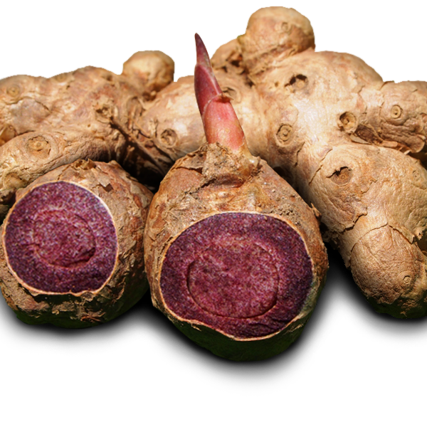 Gừng đen chữa bệnh gì?