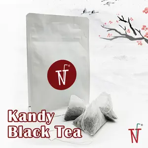Sachets de thé en PLA, Triangle, 6 sachets/CTN, de Taiwan, nouvelle collection