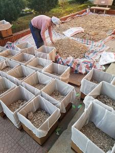 POLVO DE BENZOA DE ESTIRAX DE ALTA CALIDAD DE VIETNAM/Sra. Thi Nguyen +84 988 872 713 - Product Image 2