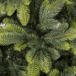 Navidad Artificial PE Shadow Spruce Tree Mejor fabricante Protección del medio ambiente 150CM - 290CM para la decoración de vacaciones de Año Nuevo - Product Image 3