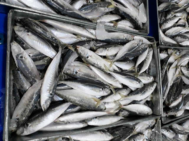 Frozen Layang Round Scad/ Scad Fish From Vietnam Cheap Price