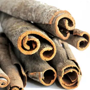 Best Selling Split Cassia Broken High Quality / Cigarette Cinnamon Powder 100% Pure Origin Vietnam / Shyn Tran +84382089109