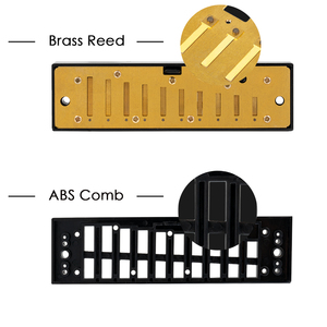 NAOMI Harmonica SWAN Cao Cấp Bruce 10 Hole BLUES C Key Harmonica Cho Người Mới Bắt Đầu & Trẻ Em Với Hộp Đựng Quà Tiêu Chuẩn - Product Image 4