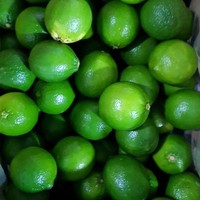 LIME FRAIS SANS GRAINES PLEINE TAILLE S/M/L POUR LE MARCHÉ DE DUBAÏ PRIX BON MARCHÉ TRACY CAO 84 969 800 854