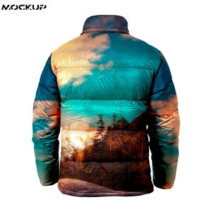 Chaqueta acolchada de invierno OEM con cremallera ligera personalizada para hombre, nuevo diseño con cuello levantado sublimado e impreso - Product Image 5