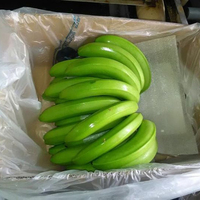 Precios de bananas en Ecuador/Venta de bananas verdes frescas/