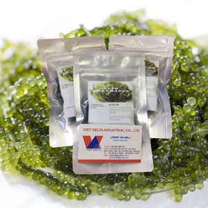Organicองุ่นทะเล-ญี่ปุ่นUmibudoคาเวียร์สีเขียว-Delicacy Seaweed-ขาดน้ำ,หมักLato Seaweed Inเกลือ - Product Image 3