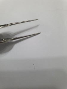 Pinzas de tejido Adson mini premium manuales de acero inoxidable 410 de 4 pulgadas - Product Image 6