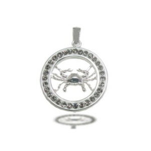 SGZP107-Zodiaco Plata de Ley 925 y cristal - Product Image 1
