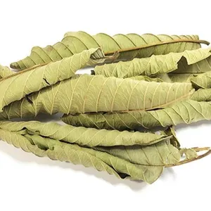 Dried Guava Leaves in Vietnam: High Quality & Competitive Price/ Helen N +84374288086