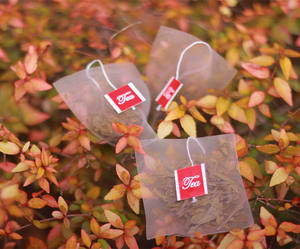 Kantong Teh Piramida Biodegradable dari Serat Jagung PLA Populer dengan Tali dan Label - Product Image 4