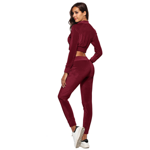Ensemble de survêtement en velours deux pièces pour femme, haut court zippé, pantalon taille haute, décontracté, couleur unie, coupe classique, unisexe - Product Image 3