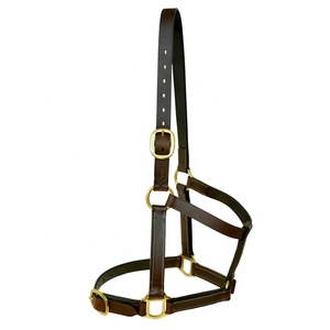 Cabestro para Caballo Estilo Western Personalizable, Diseña el Tuyo, de Cuero y Cuerda de Nylon, Hecho a Mano por Fabricante Indio - Product Image 2