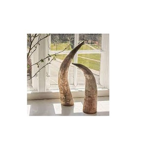 Corne décorative en forme de saucière, 1 pièce, tenue de table intérieur, corne de taureau monté, style marbré, Antique, offre spéciale - Product Image 5