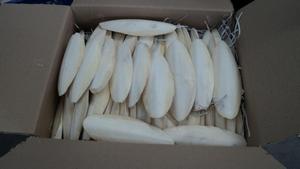 กระดูกปลาหมึกคุณภาพดีที่สุด - กระดูกปลาหมึก/กระดูกปลาหมึกแท้ 100% จากเวียดนาม (WS: 0084987731263) - Product Image 6