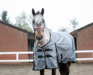 น้ำหนักปานกลาง200กรัมดี.สีเทามาตรฐานคอมโบแบบเต็มคอลม้าพรมกันน้ำผิวนอกผ้าพร้อมบุไนล่อนไส้คอตตอน - Product Image 2