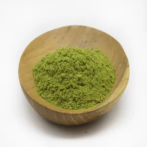 Indian moringa leaf powder making from machine quality for USA UK Germany Spain France Italy packing 5kg 10kg 25kg bag