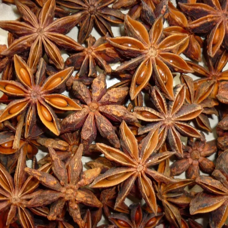 Gia Vị Việt Nam Star Anise Thuốc Thảo Dược Gia Vị Khô-Ms Flora + 84 339966582 (Whatssap)