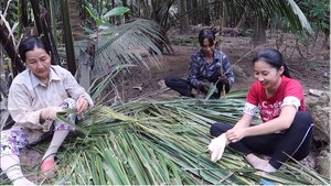 เวียดนามแบบดั้งเดิมไม้กวาด/มะพร้าวไม้กวาด (Lee Tran: + 84987731263) - Product Image 6