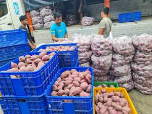 Vente en gros d'amidon de patate douce/farine de patate douce/poudre de patate douce séchée pour l'exportation Mme Lily - Product Image 2