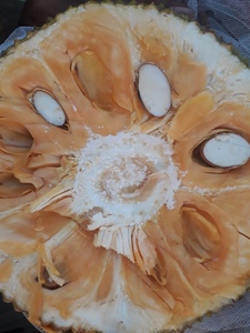 Bandelettes de Jackfruit de la reine des neiges Ms sofia - Product Image 3