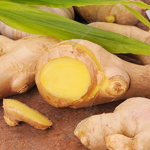 <b>Fresh</b> <b>Ginger</b> Wholesale High Quality Ready to Ship Standard Export Harvest From Farm in Vietnam - Product Image 2