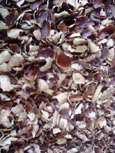 BON CHOIX de COQUILLE DE NOIX DE CAJOU/ COQUILLE DE NOIX DE CAJOU EN POUDRE - HELEN +84374288086 - Product Image 5