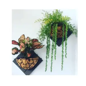 天然椰壳挂轮用于种植兰花-室内阳台挂花机-室内花盆