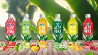 Vente en gros de purée de jus de fraise à l'aloe vera, saveur fraise, 500 ml, bouteille en PET, boisson santé NFC