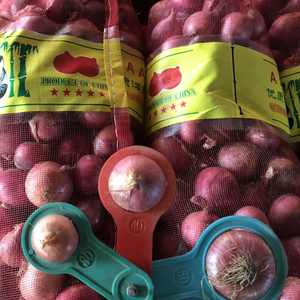 Cebollas Rojas frescas sudafricanas 5-7/6-8/8-10/10-12cm Embalado 10KG/20KG/25KG Precio barato Envío marítimo y aéreo - Product Image 2