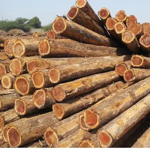 De madera de teca de registros/madera aserrada para ventas 100%