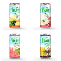 Premium 240ml Natuurlijk gearomatiseerde watermeloen fruitsap puree in fles Private Label merk Geblikte dranken ISO gecertificeerd
