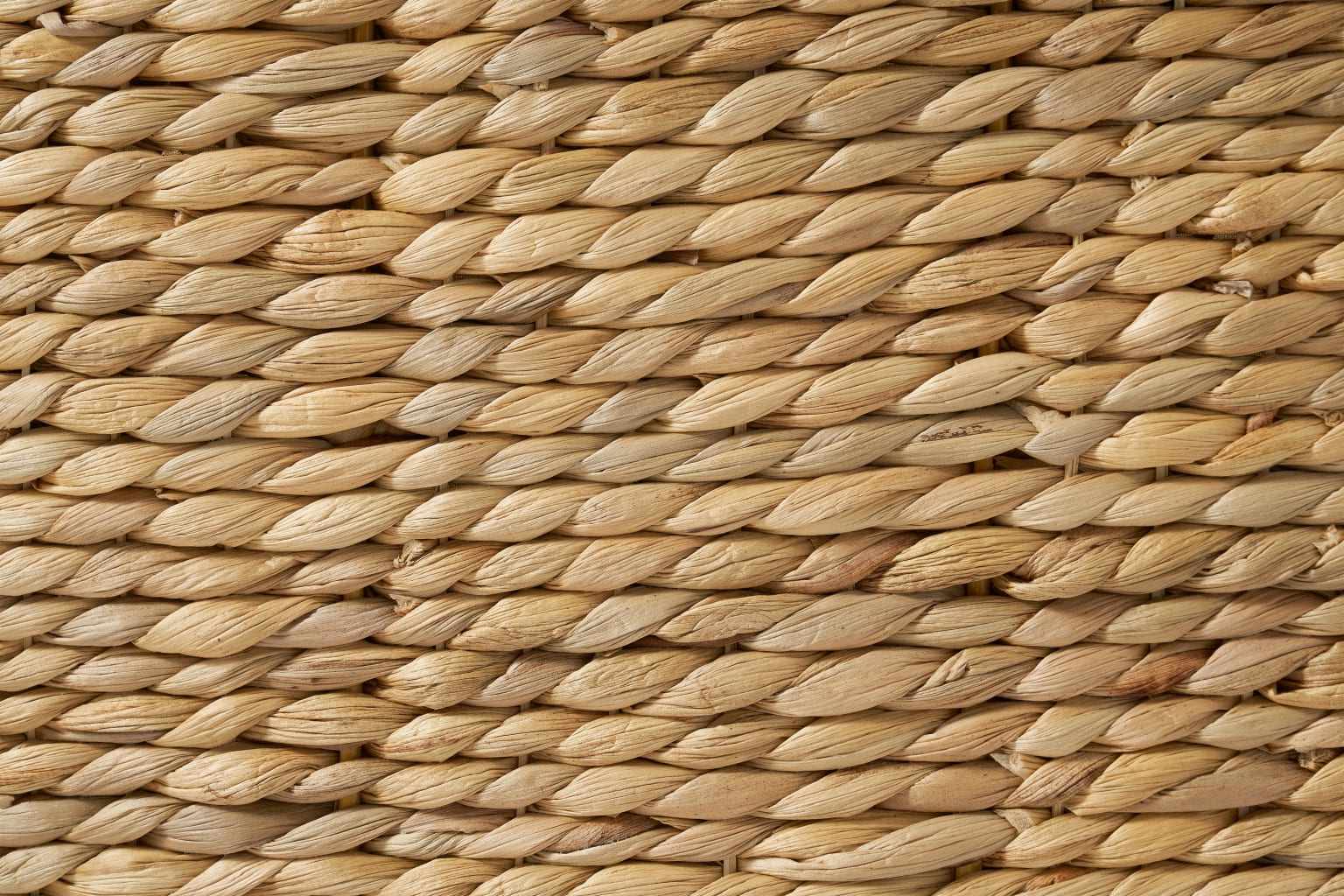 Natural Waterhyacinth