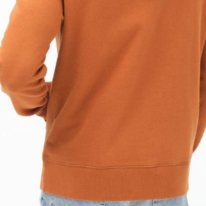 Sweat-shirts à capuche unisexe 100% coton à col rond Vente en gros Logo personnalisé brodé pour l'hiver - Product Image 6