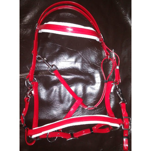 Ensemble de bride en PVC avec rênes, couleur rose vert, taille pleine, cob, shetland, 7 dollars - Product Image 5