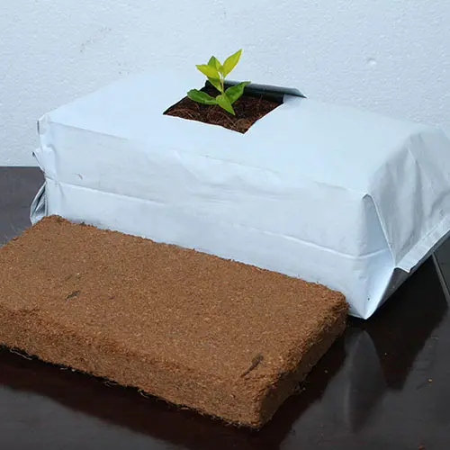 Hochwertige kunden spezifische Coco Coir Close Top Grow Bag zum Inkubieren und Pflanzen Großhandel Coco Peat für Gewächs häuser