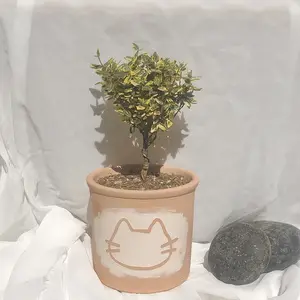 Terra Cotta Pots with drawing of cat Plant and Flower Pot