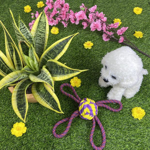 Juguetes de algodón para perros, limpieza Dental, Bola de entrenamiento, precio barato - Product Image 6