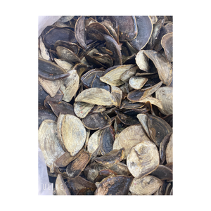 Murex-Concha de mar fresca, caracol de Murex, seco de Vietnam - Product Image 5