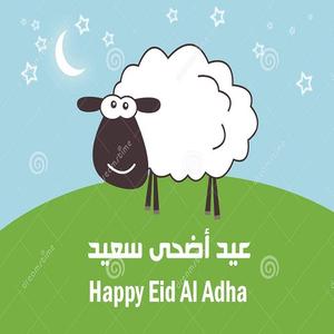 Charbon de coco pour la fabrication de SHISHA hookah, 2021 charbon de coco, 1 unité, usage industriel, pour chicha, narguilé, Eid al-adha, turquie - Product Image 3