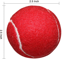 Ensemble de 6 balles de tennis en caoutchouc rouge de la marque HRM avec logo personnalisé, couleurs et tailles personnalisées pour le jeu en plein air pour adultes et enfants
