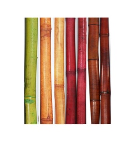 Bâtons de bambou secs écologiques, pôle de couleurs jaune, noir et vert, du Vietnam, en vrac, pour l'exportation - Product Image 1