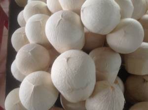 COCO JOVEN FRESCO DIAMANTE/COCO ABIERTO FÁCIL DE VIETNAM - Product Image 3