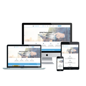 WordPress Website Development Company in India | Award Winning WordPress Design & Development Services by Webroot Infosoft - Product Image 3