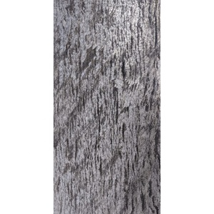 Hoja de cuarcita Natural de galaxia plateada, piedra fina elegante para paredes interiores modernas, superficies personalizadas, erosión antiácida pulida - Product Image 2