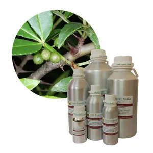 Zanthoxylum Produsen Minyak dan Eksportir dari India Digunakan Dalam Kosmetik Parfum dan Aromaterapi Halus
