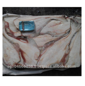 Halibut del Pacífico Congelado SEAFROZEN HG - Product Image 2